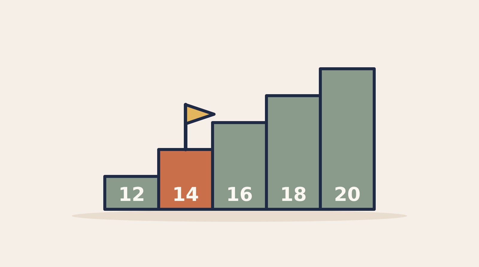 Illustration of five steps labeled 12 to 20, with a flag planted on the second step